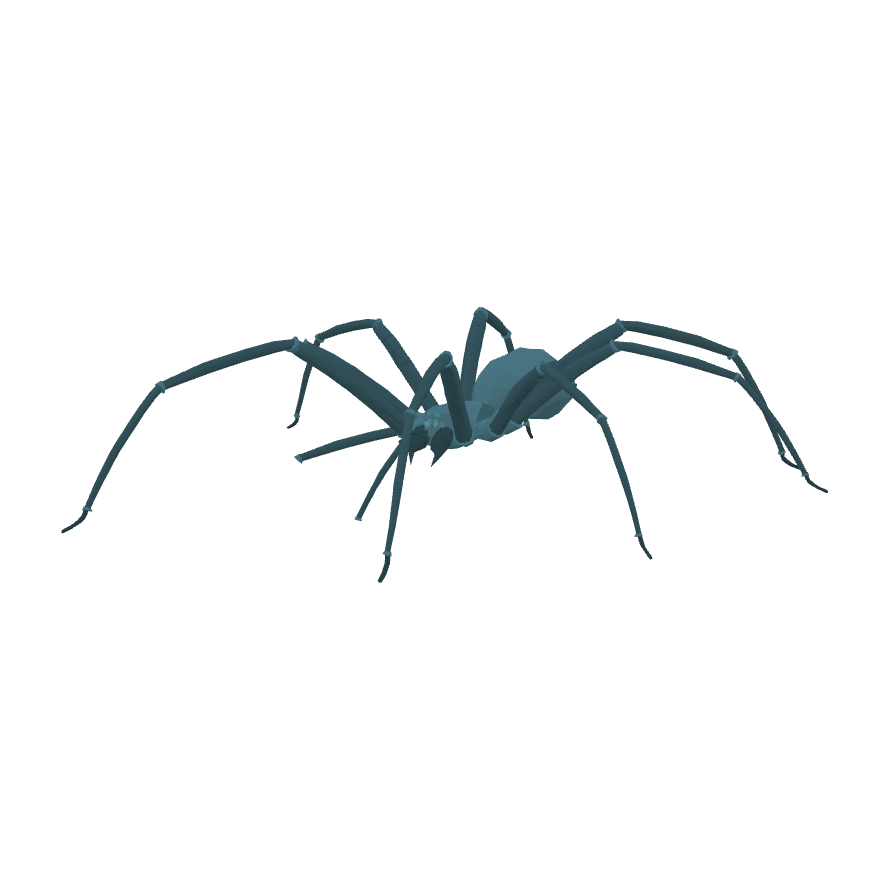 Araignée